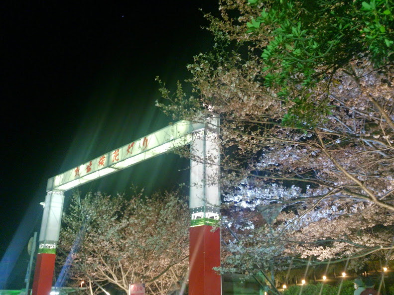 敦盛桜花灯り門