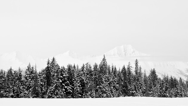 Cover photo