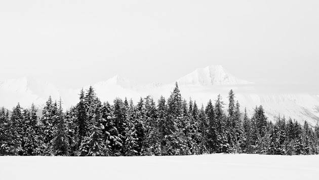 Cover photo