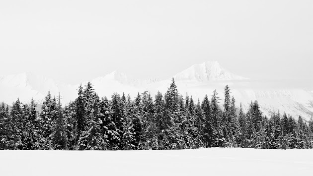 Cover photo