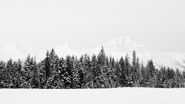 Cover photo