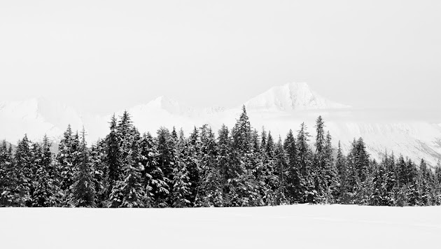Cover photo