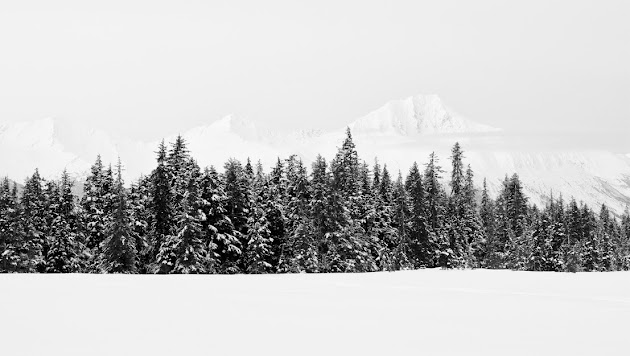 Cover photo