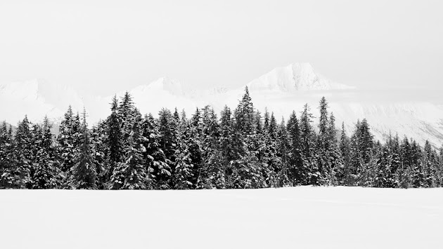 Cover photo