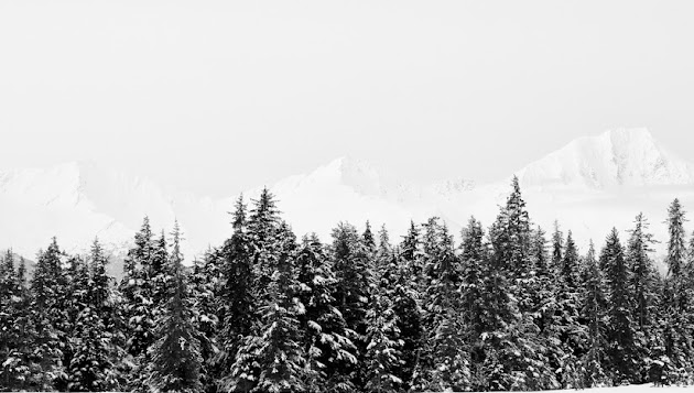 Cover photo