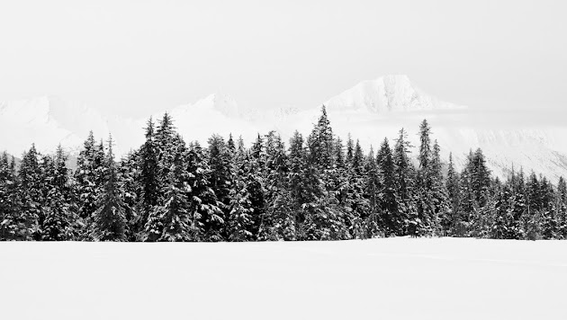Cover photo