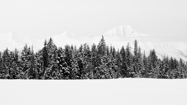 Cover photo