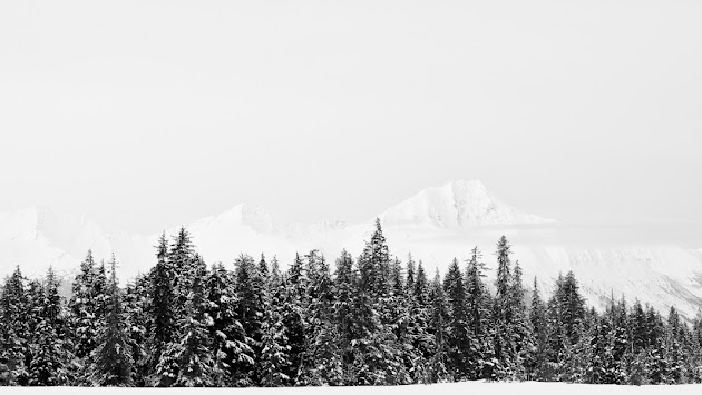 Cover photo