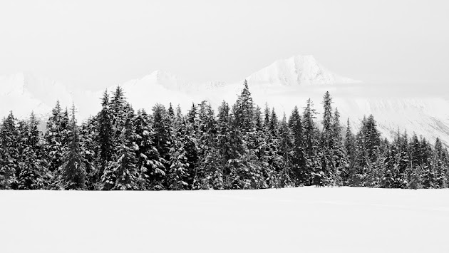 Cover photo
