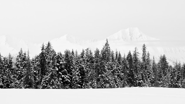 Cover photo