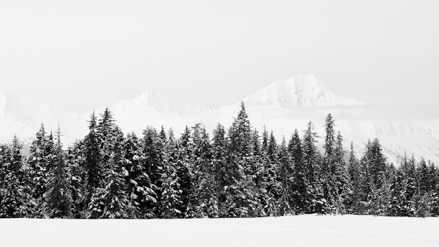Cover photo