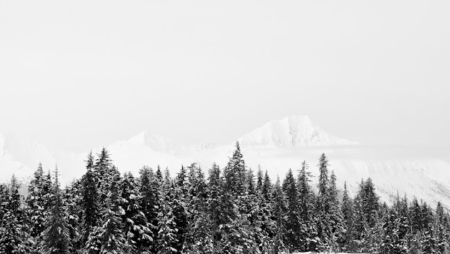 Cover photo