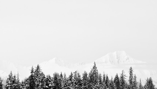 Cover photo