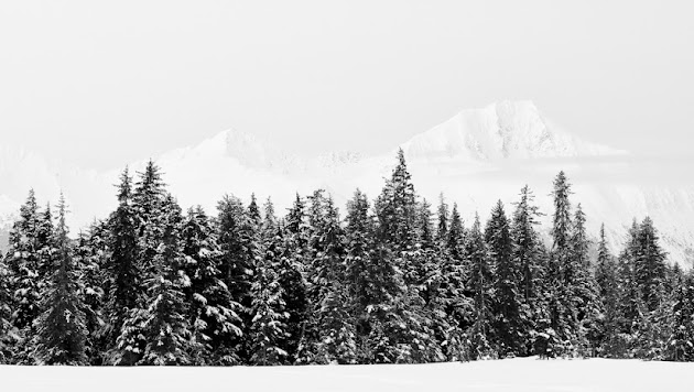 Cover photo