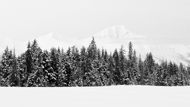 Cover photo