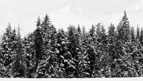 Cover photo