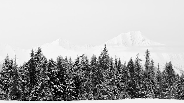 Cover photo