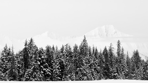 Cover photo