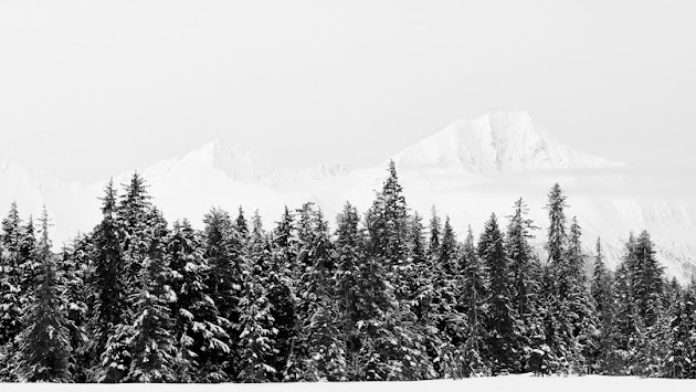 Cover photo