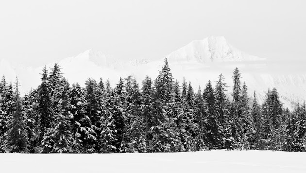 Cover photo