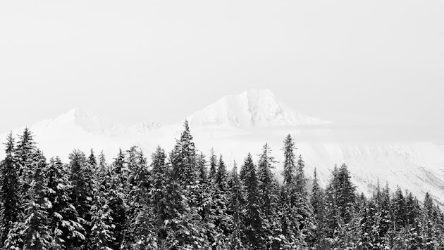 Cover photo