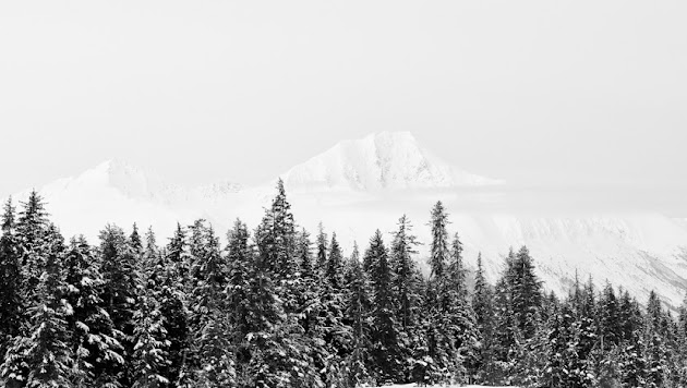 Cover photo