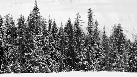 Cover photo