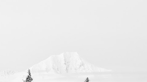 Cover photo