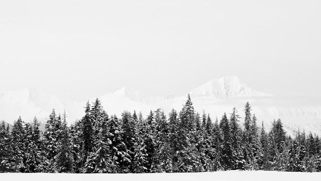 Cover photo