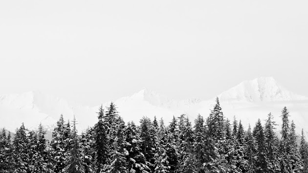 Cover photo