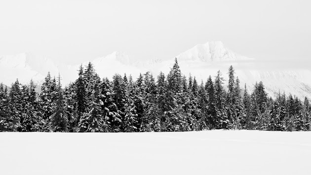 Cover photo