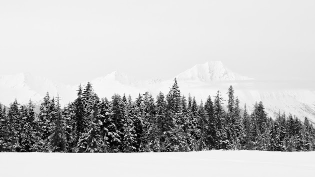 Cover photo