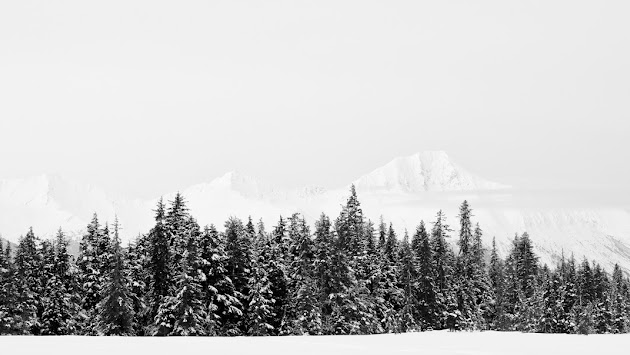 Cover photo