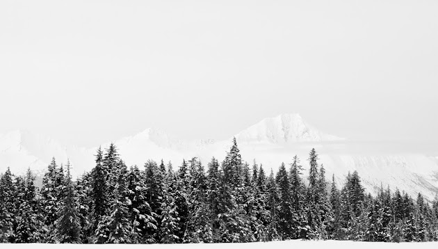 Cover photo