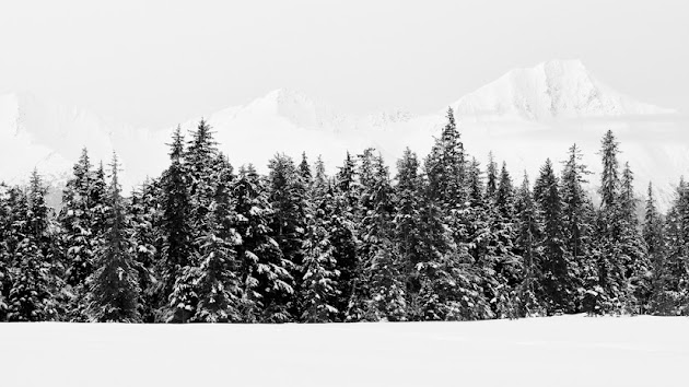 Cover photo