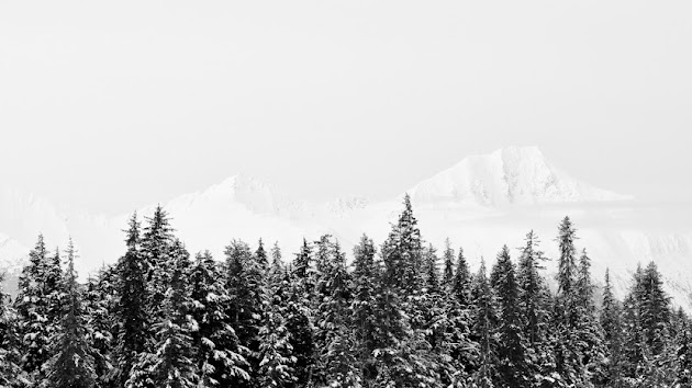 Cover photo