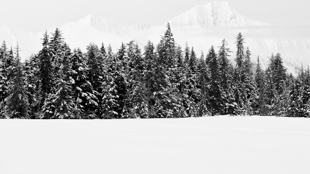 Cover photo
