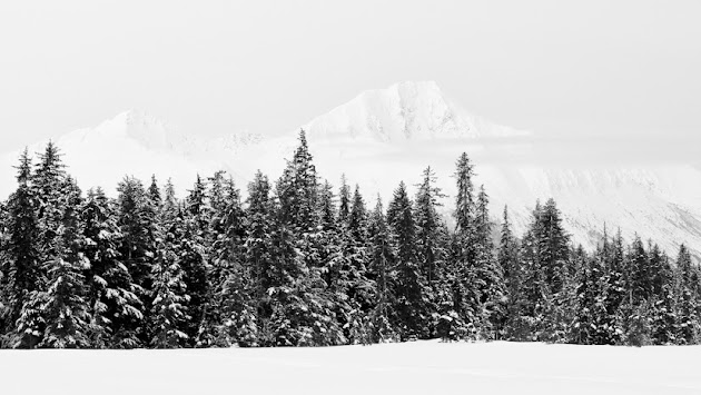 Cover photo