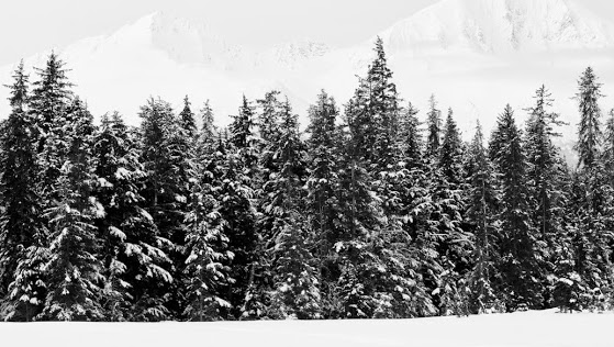Cover photo