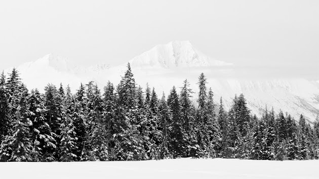 Cover photo
