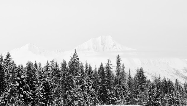 Cover photo