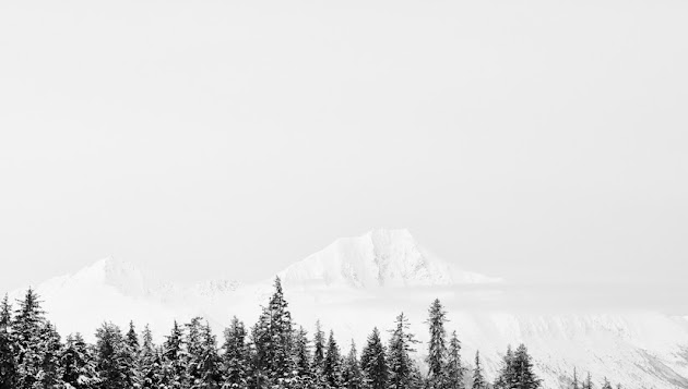 Cover photo