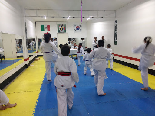 Escuela De Taekwondo CHUNG SONG MUGUNGHWA, 38900, Celaya - Yuriria 1216, Zona Centro, Salvatierra, Gto., México, Escuela de taekuondo | GTO
