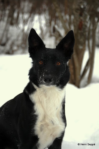 DSC_6410.JPG