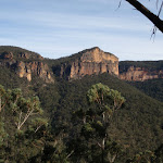 View of cliffs across the Grose Valley (50423)