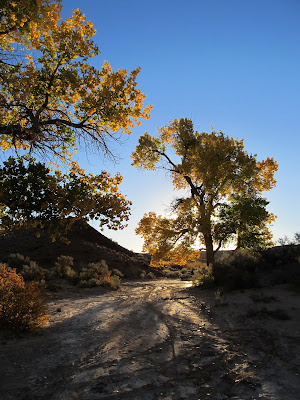 The wash below camp