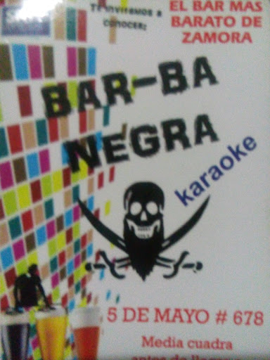 Bar-Ba Negra, 5 de Mayo, Jardinadas, 59680 Zamora, Mich., México, Bar | MICH