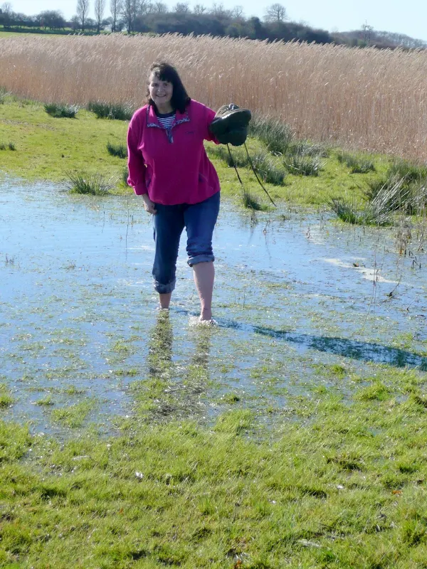 Flooded marshes at Iken