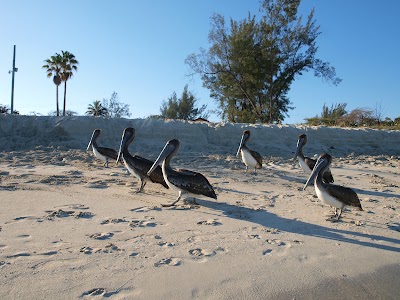 Photos of Varadero Beach