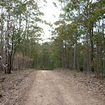 Langans Rd north of Flat Rock Lookout (362975)